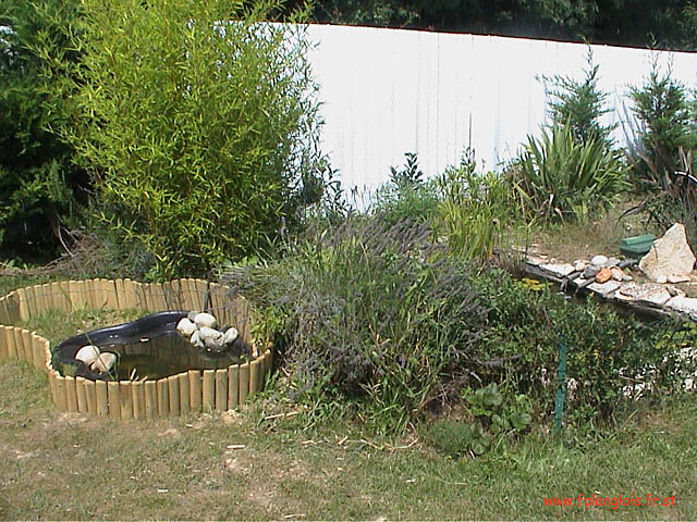 Forum Jardin et Potager. Tout sur L'univers du jardin et du potager.