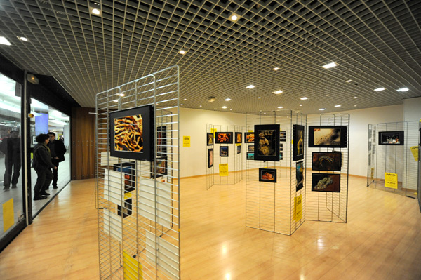 Salle exposition sous-marine PauPhoto