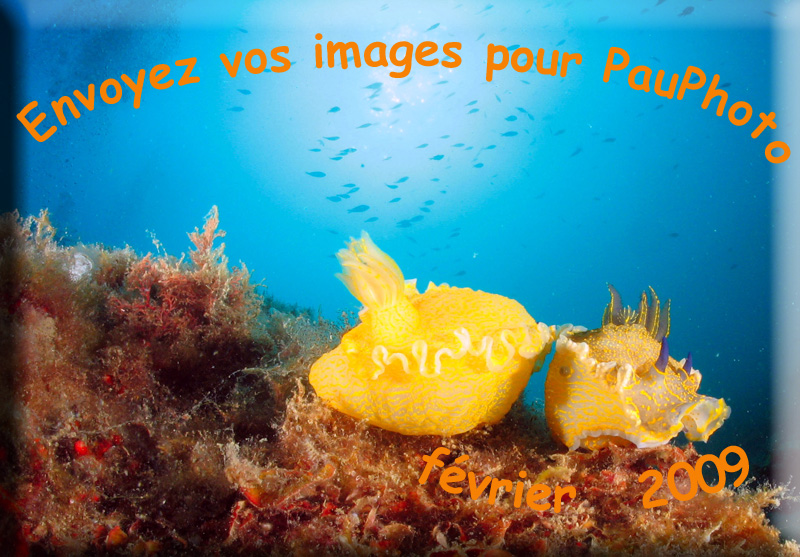 logo Pauphoto exposition sous-marine